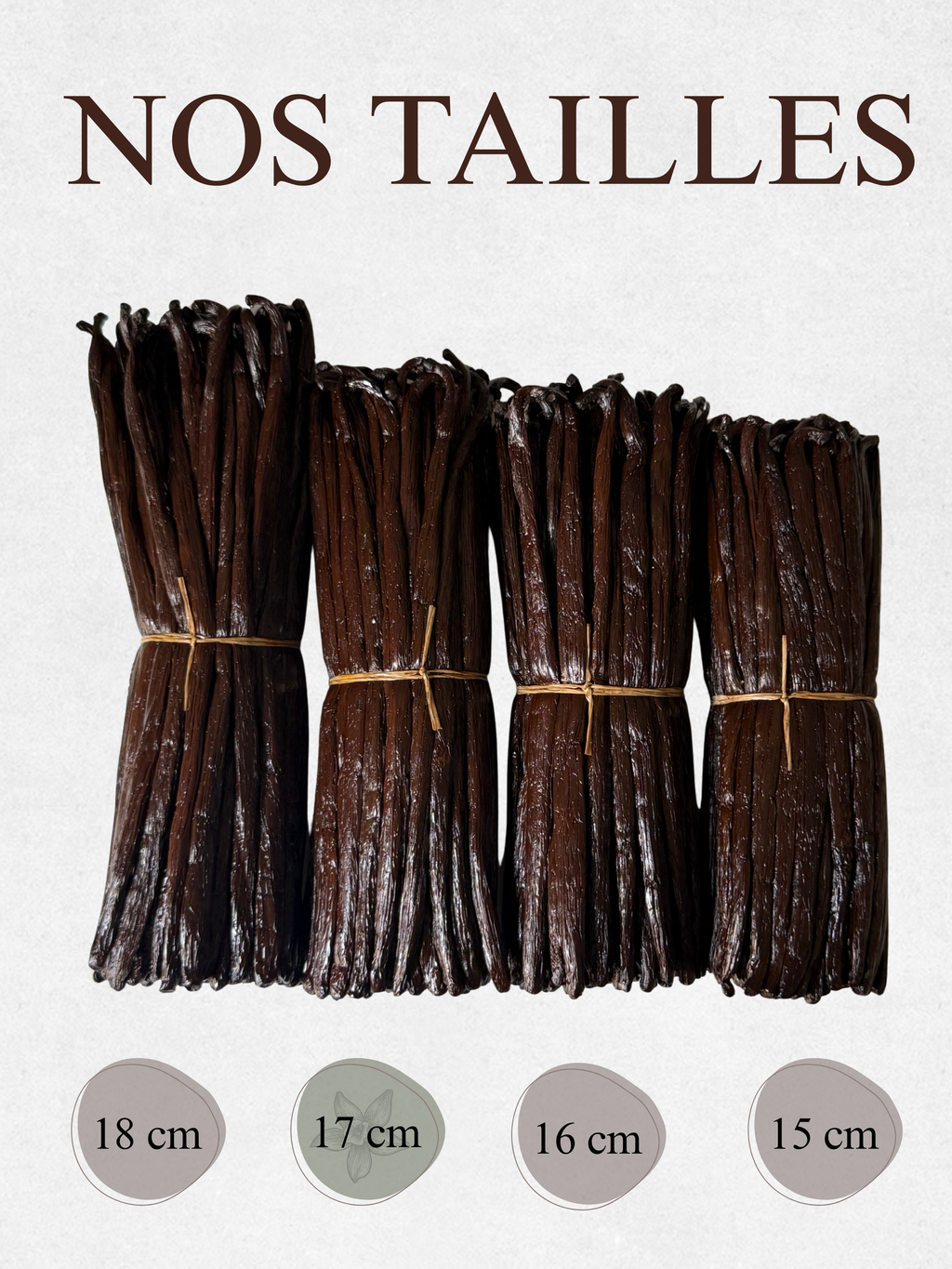 Gousses de Vanille Noire Bourbon - 17 cm