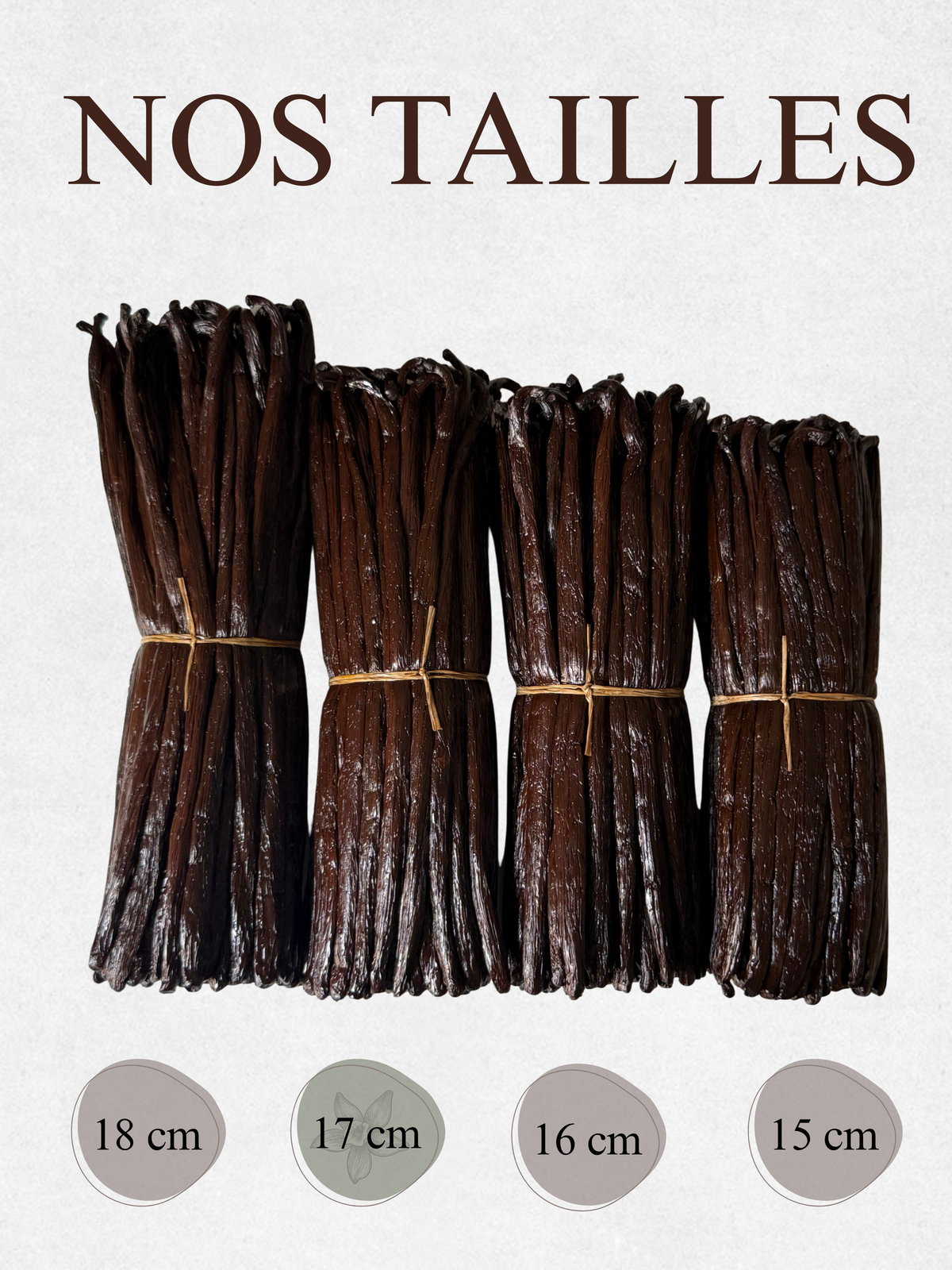 Gousses de Vanille Noire Bourbon - 17 cm