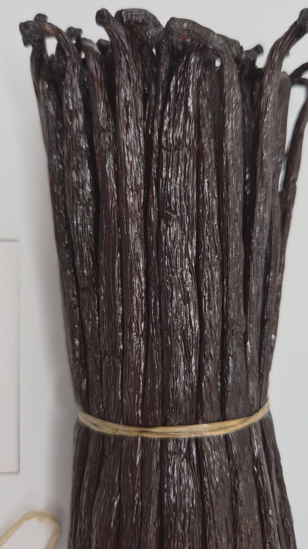Gousses de Vanille Noire Bourbon - 16 cm